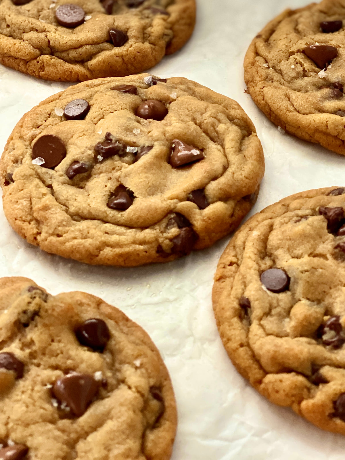 Triple Chocolate Chip