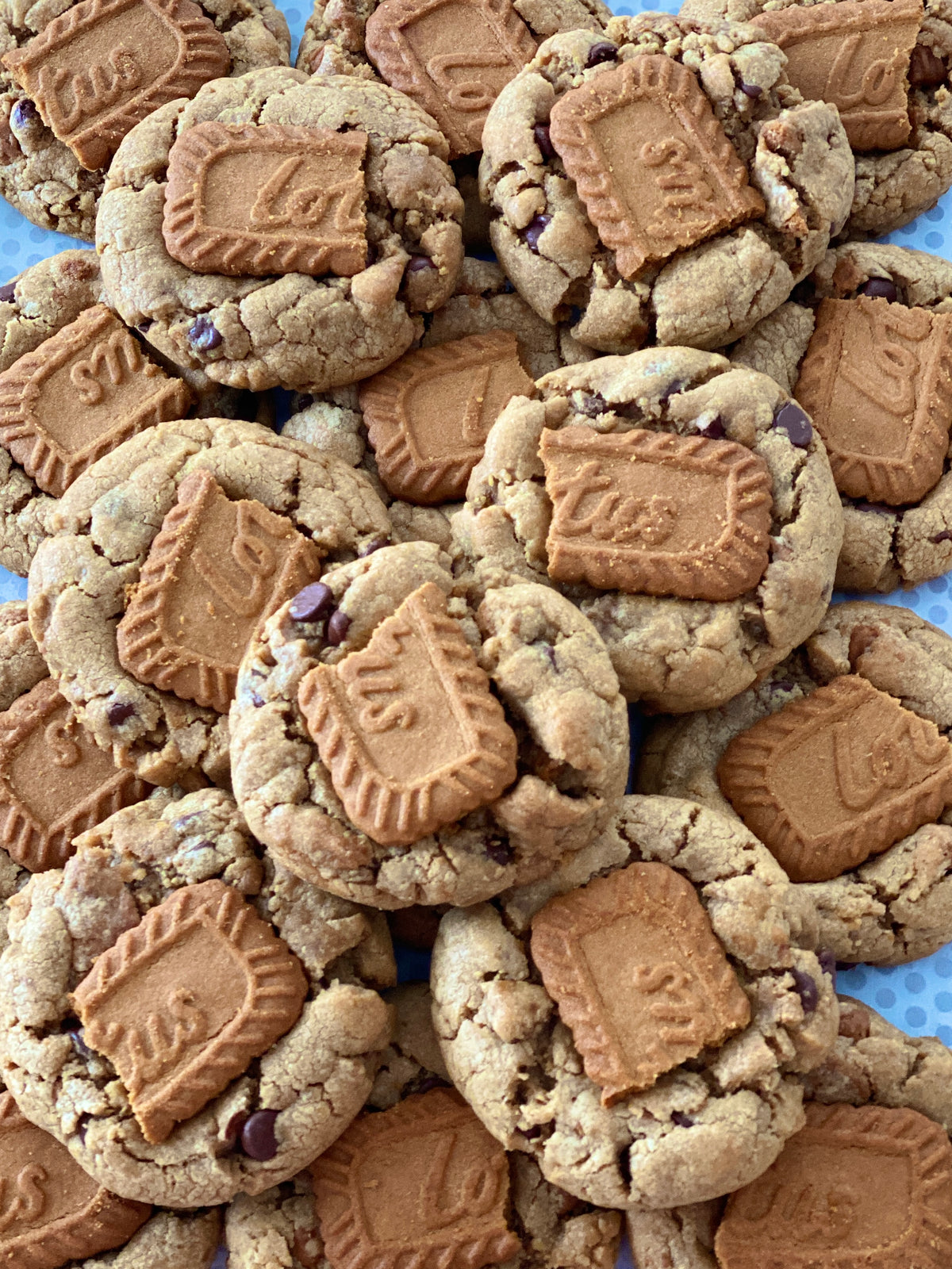Biscoff