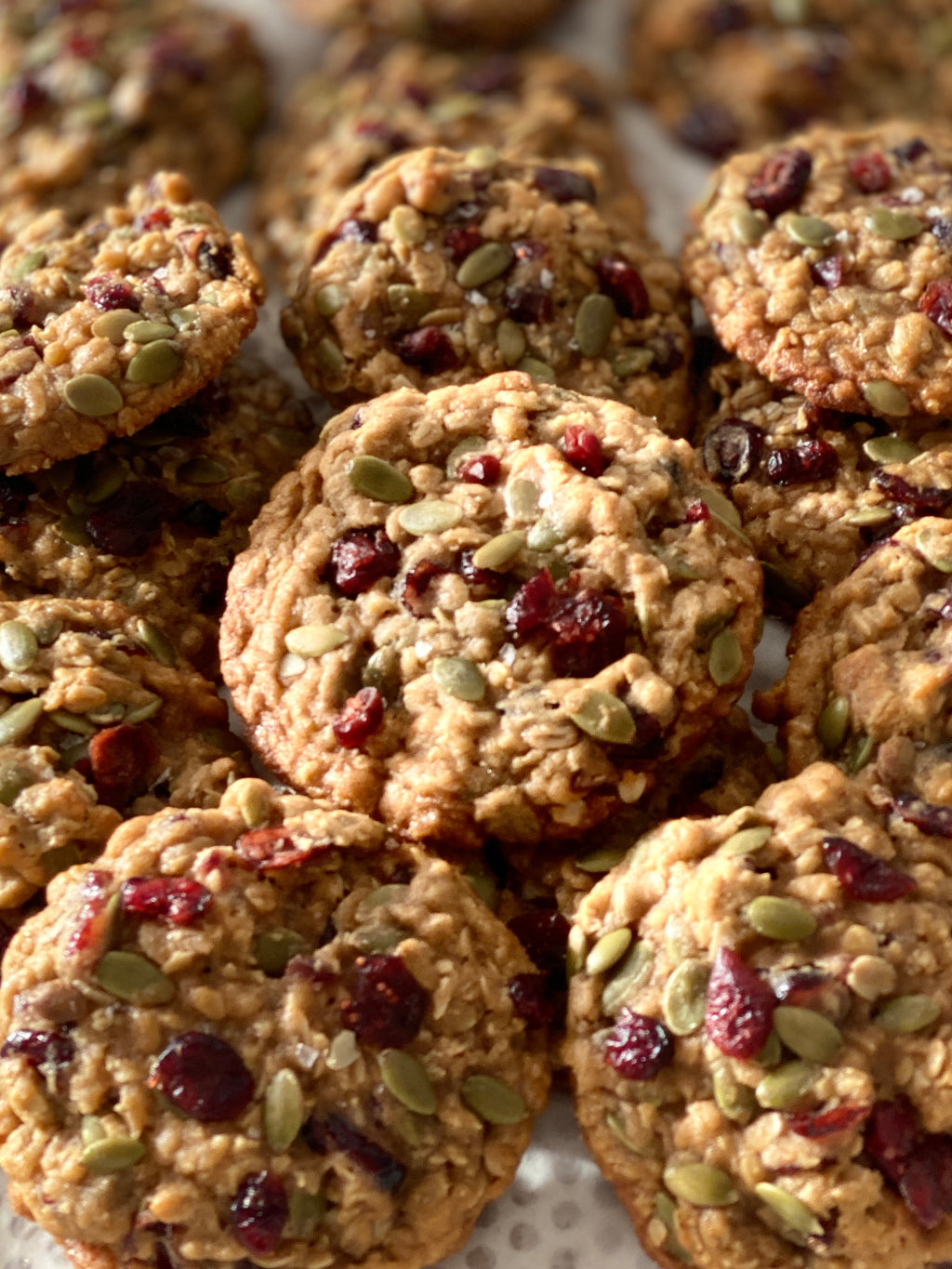 Oat & Cranberry