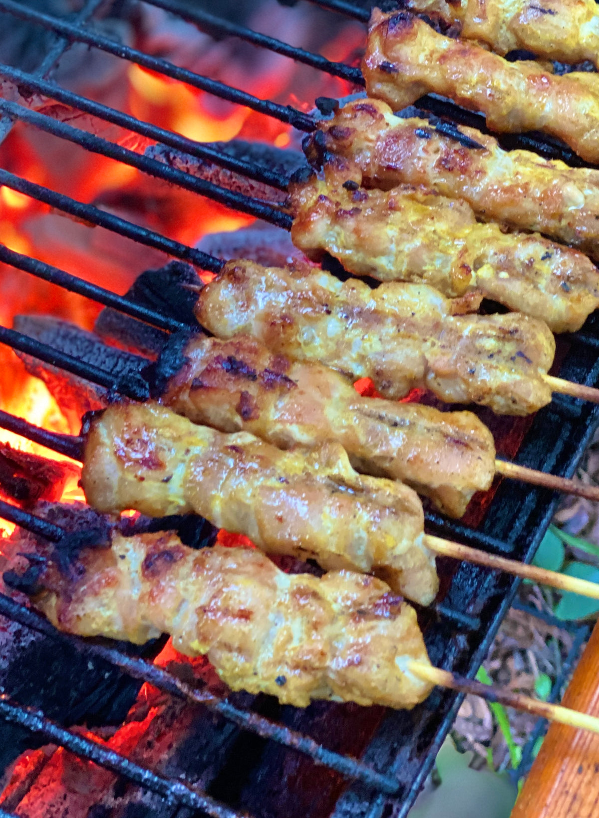 Thai Satay Seasoning