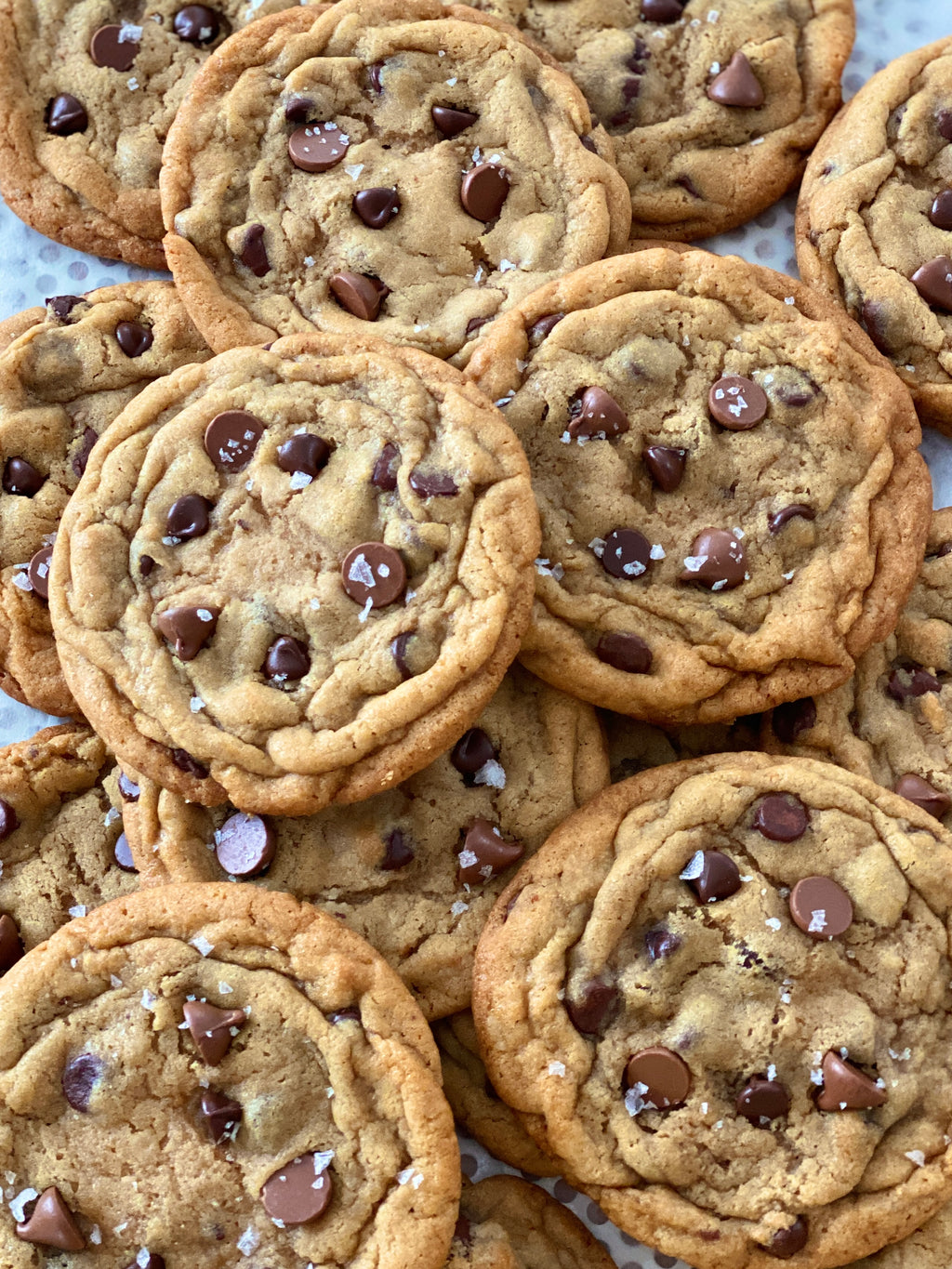 Triple Chocolate Chip